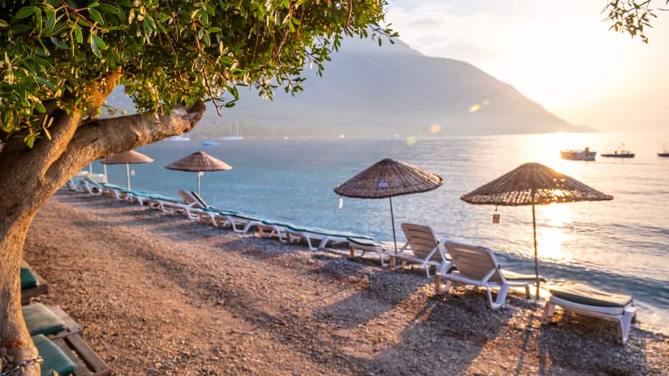 A beach with lounge chairs and thatched umbrellas, a tree, and boats in the water.