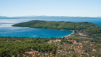A coastal landscape with a forested island, clear blue waters, and a small settlement.