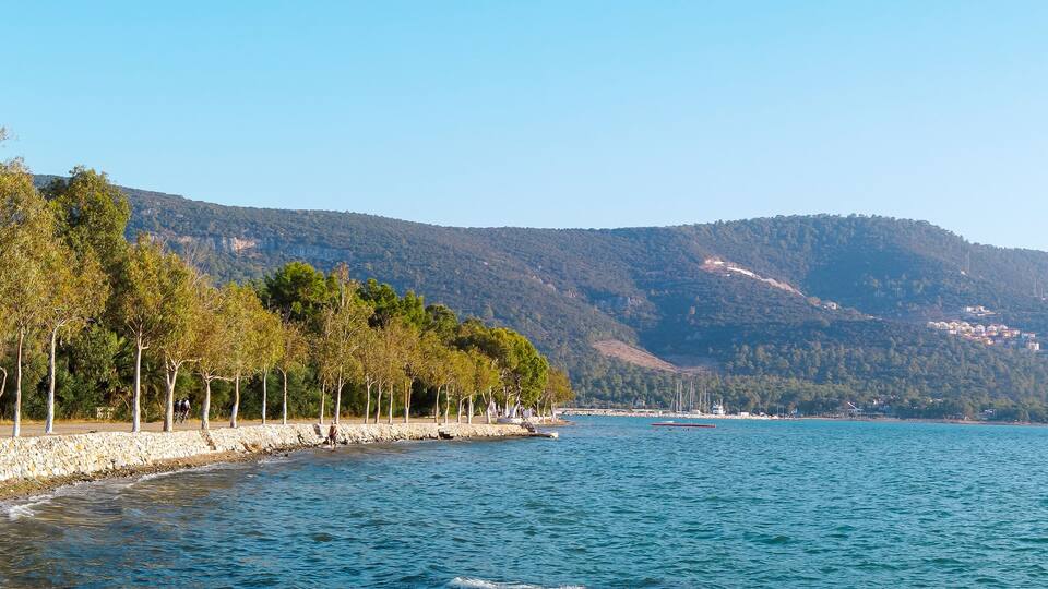 A coastal landscape with a stone wall, trees, and a mountain in the background.