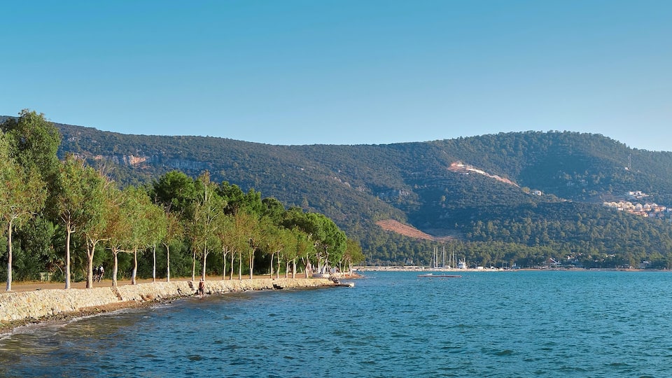 A coastal landscape with a stone wall, trees, a calm sea, and a mountain in the background.