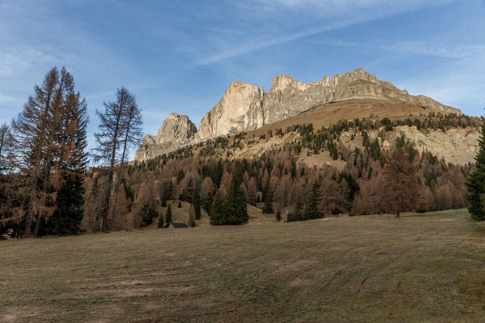 Paisatge de muntanya amb un prat, arbres i un pic rocos.