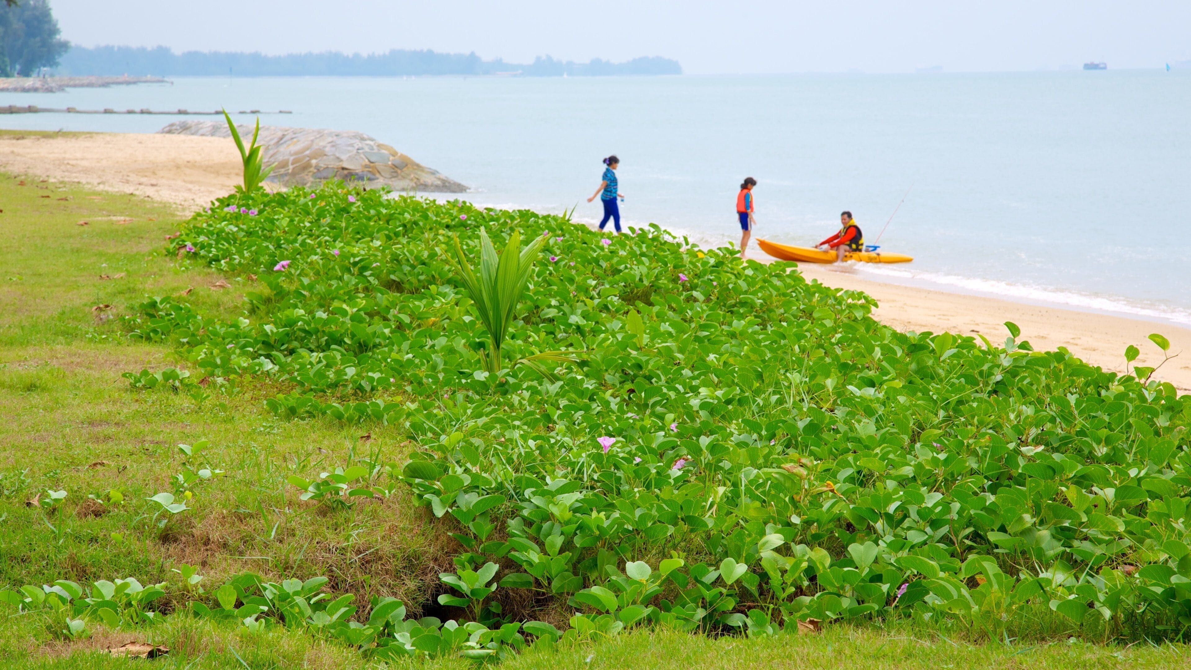 East Coast Park showing a sandy beach