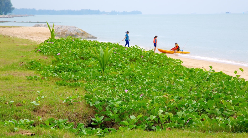 East Coast Park showing a sandy beach