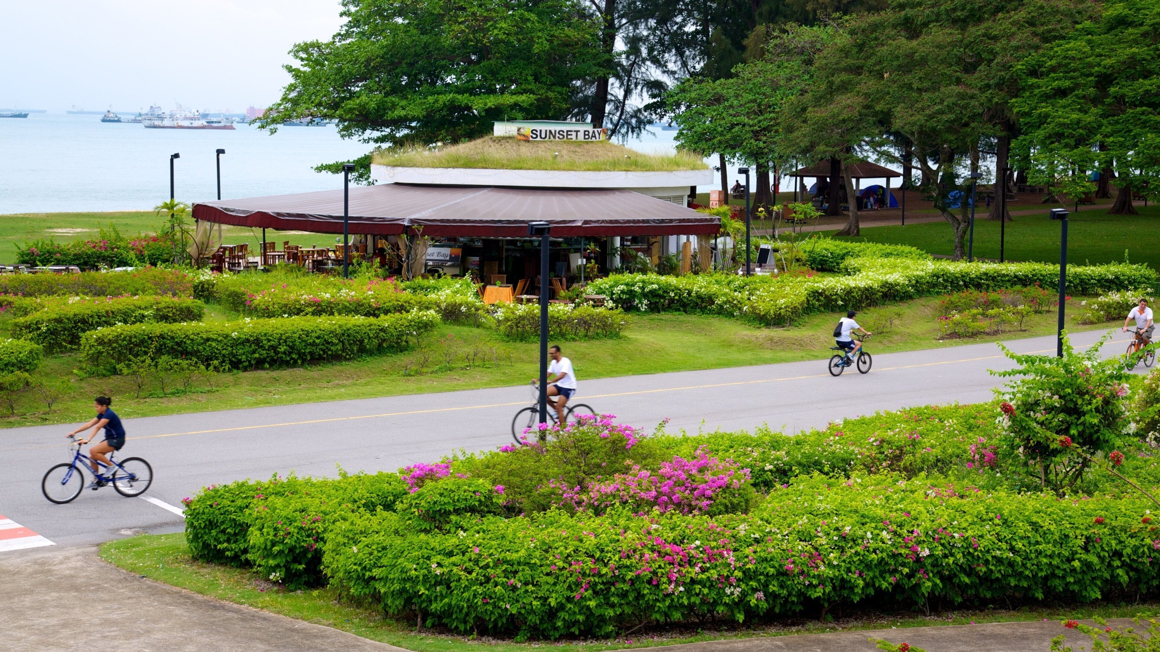 East Coast Park showing a park, general coastal views and flowers