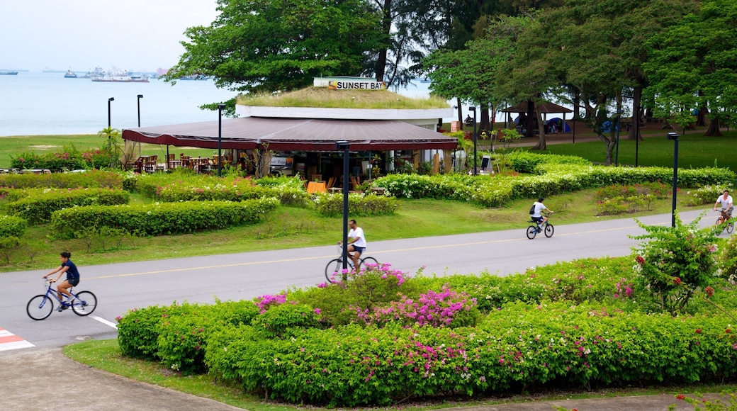 East Coast Park showing flowers, general coastal views and cycling