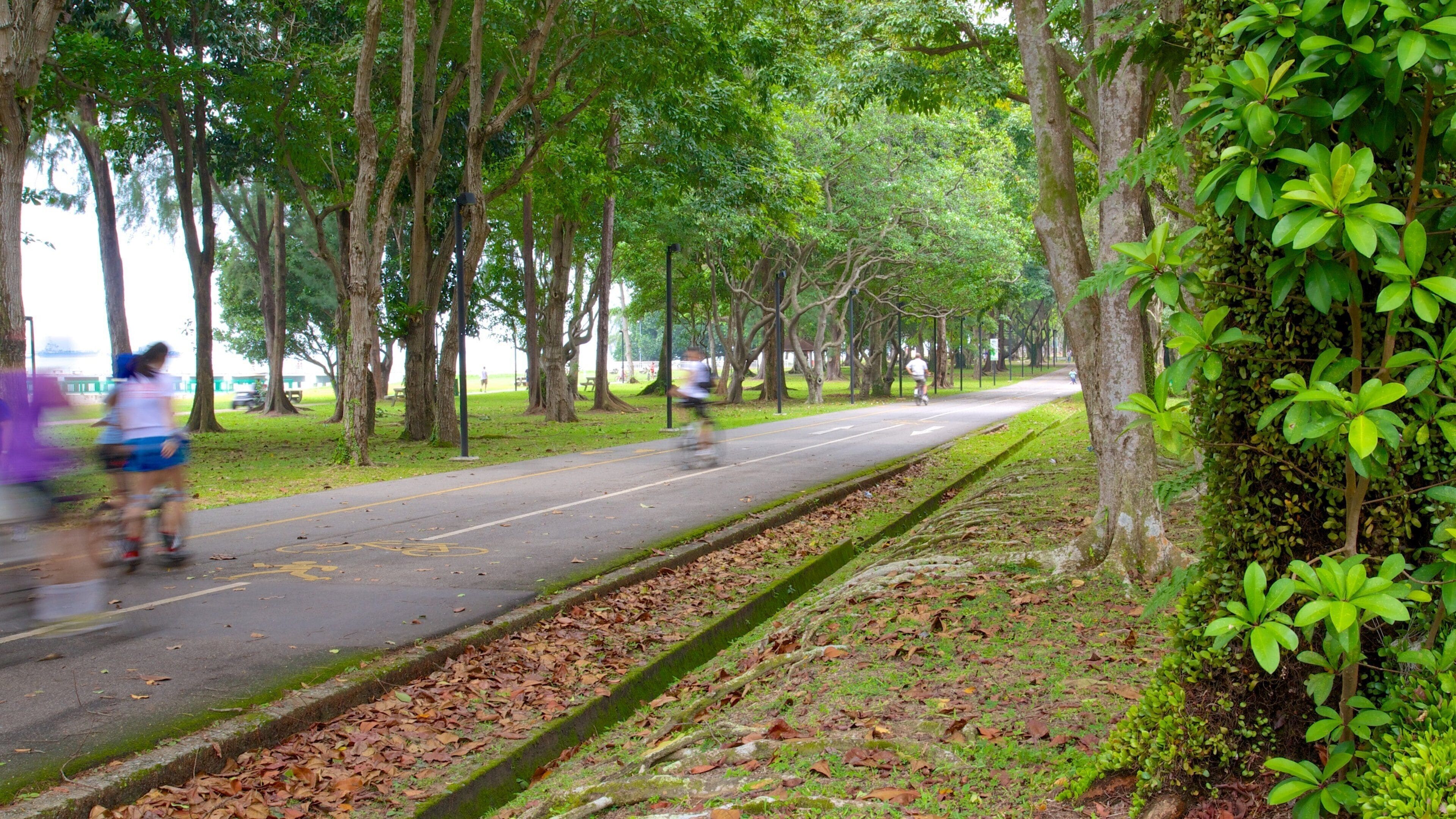 East Coast Park ofreciendo un parque