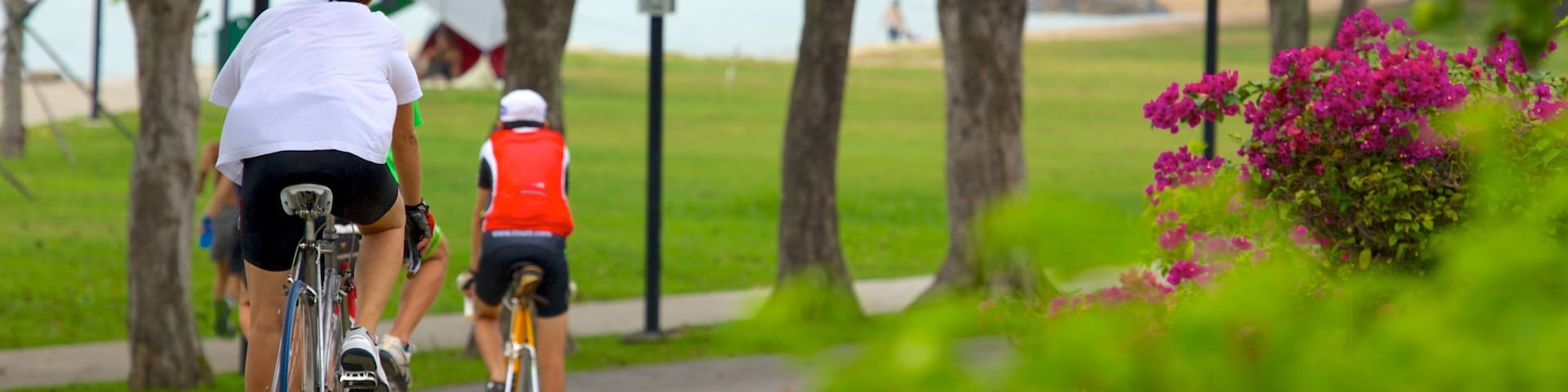 East Coast Park showing a garden, flowers and road cycling