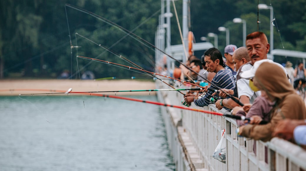 East Coast Park featuring fishing as well as a small group of people