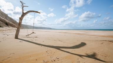 Rainbow Beach which includes general coastal views and a beach