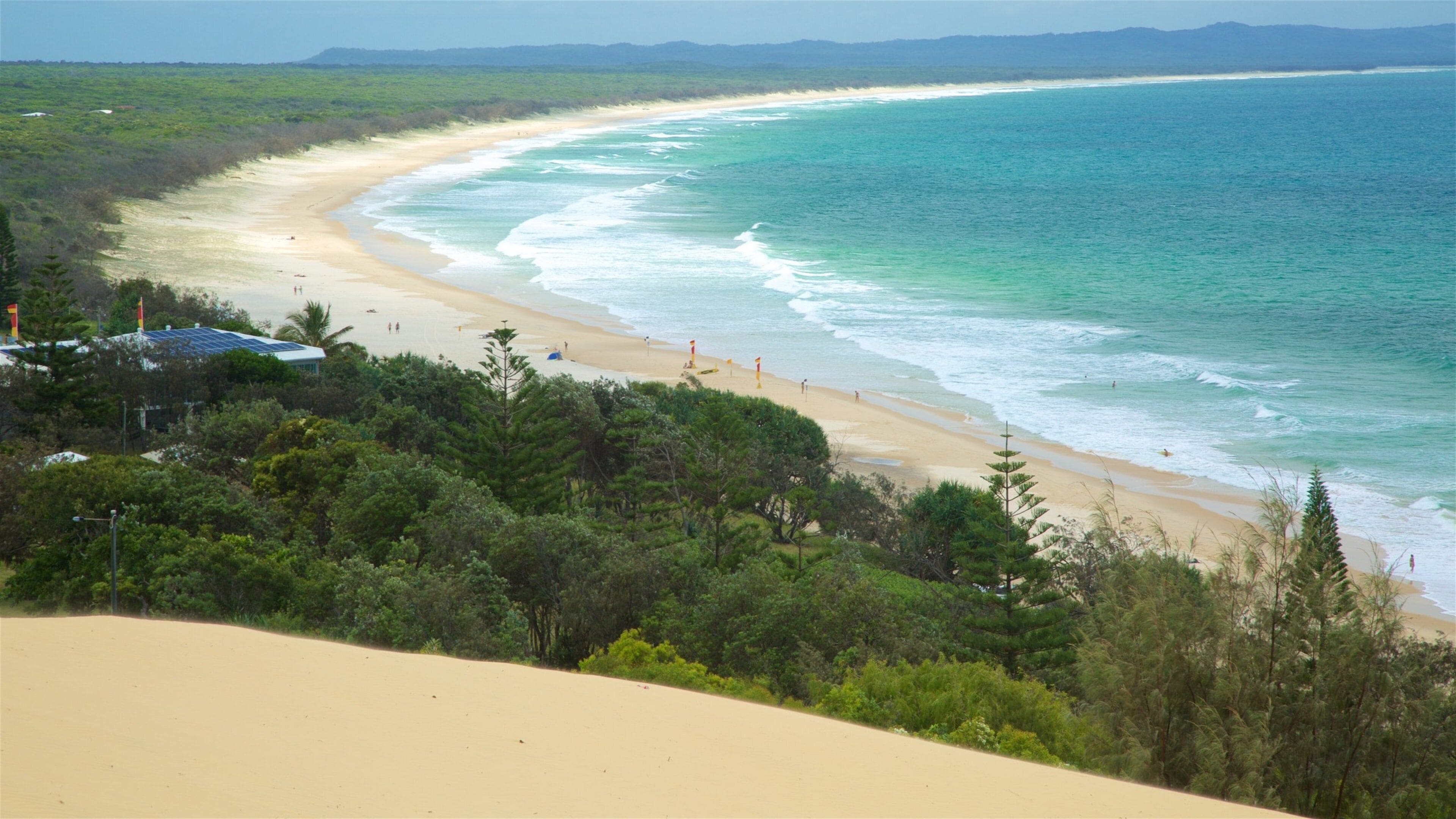A beach with clear turquoise waters, sandy shores, and dense green vegetation.