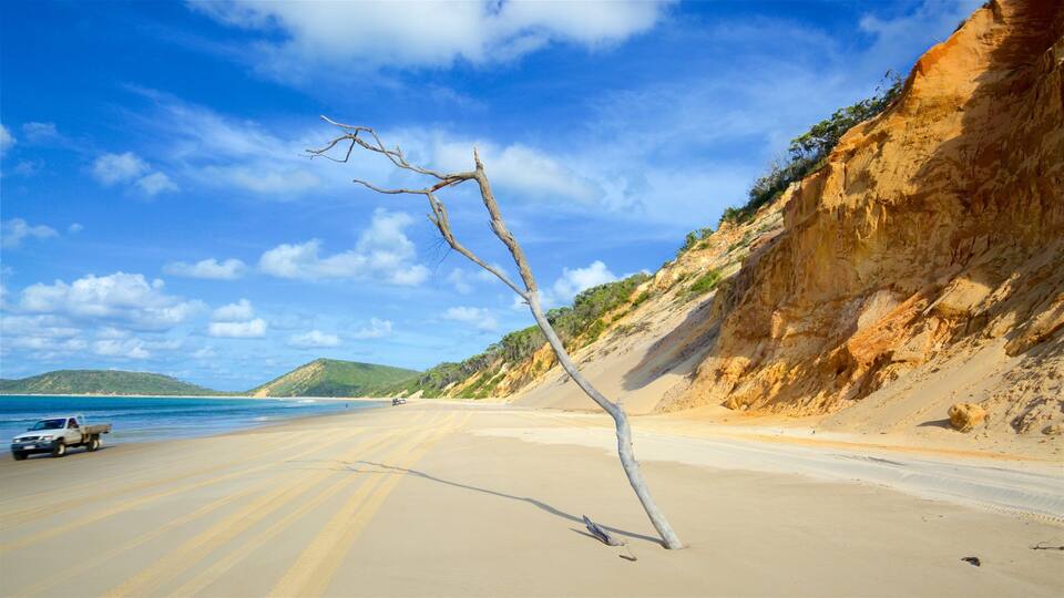 A beach with a fallen tree, clear skies, and a truck on the sand.
