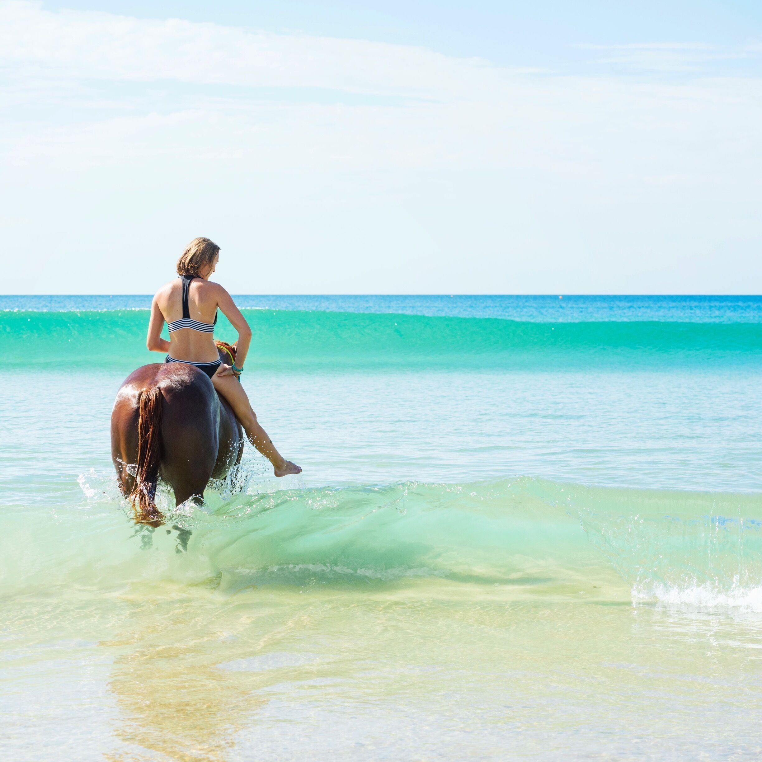 Rainbow Beach was an unexpected destination for me, so much to see and do and the beach drive was fantastic too! I highly recommend the Rainbow Beach Horse Rides for bareback ocean swimming tours! I loved it. :)
