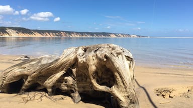 The view towards rainbow beach in Queensland Australia