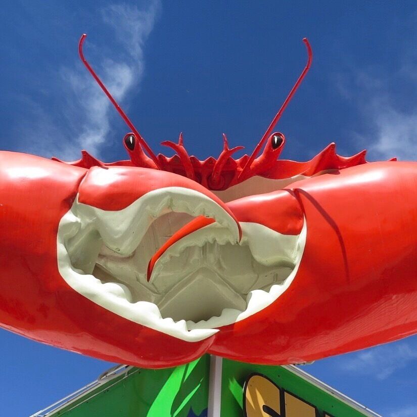 Crab sandwiches in Cardwell! Yummo 