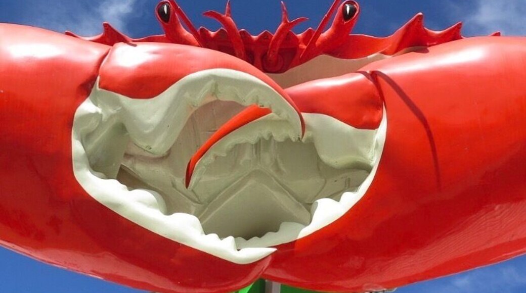 Crab sandwiches in Cardwell! Yummo