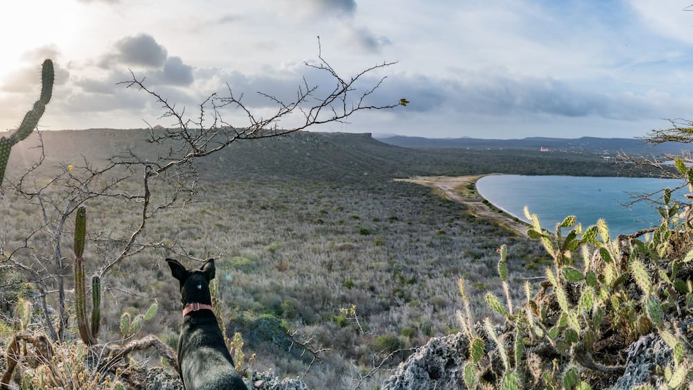 Rif ST Marie salt pan Curacao Views