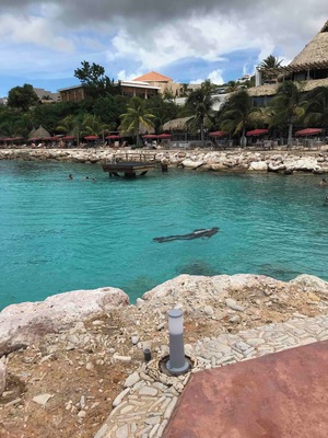 So fun diving off this coastline!