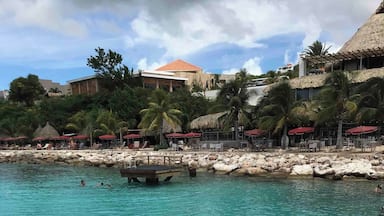 So fun diving off this coastline!