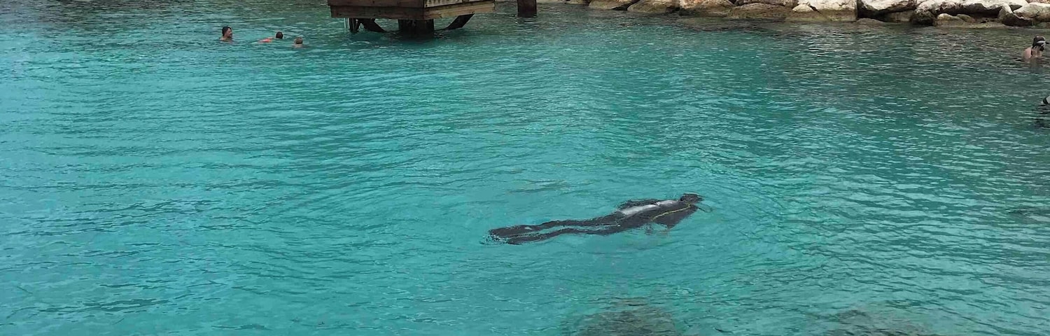 So fun diving off this coastline!