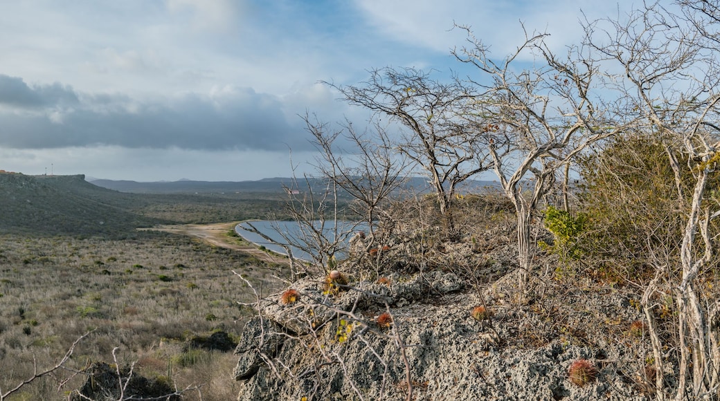 Rif ST Marie salt pan Curacao Views