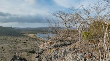 Rif ST Marie salt pan Curacao Views