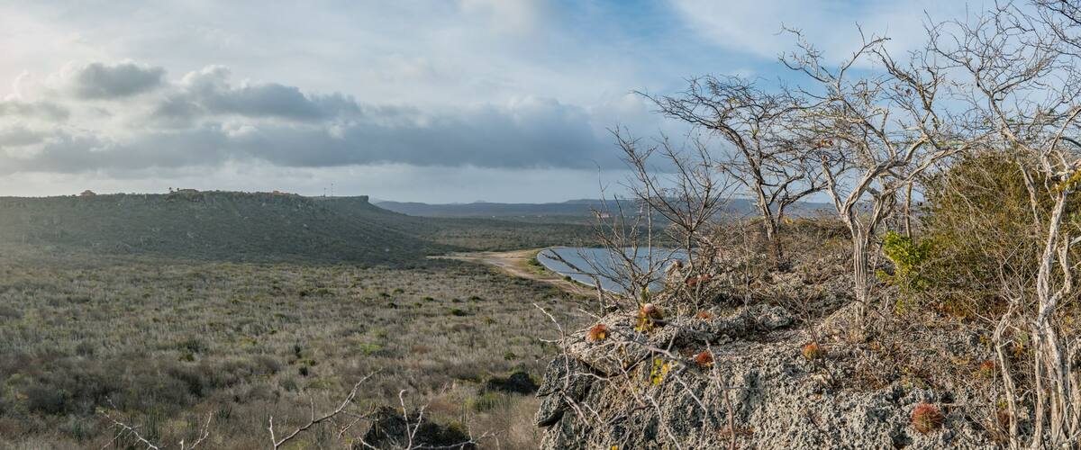 A coastal landscape with a hill, sparse vegetation, and a body of water.