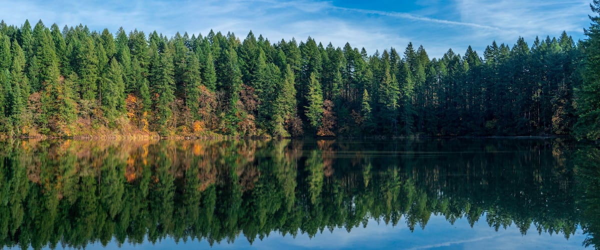 LaCamas Creek Loop and Lake, Camas, Washington Panoramic View