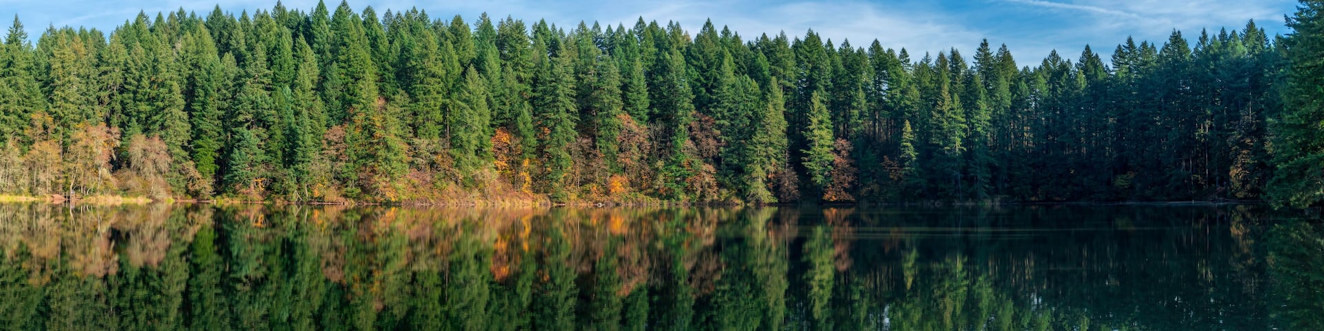 LaCamas Creek Loop and Lake, Camas, Washington Panoramic View