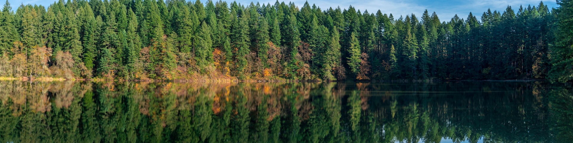 LaCamas Creek Loop and Lake, Camas, Washington Panoramic View