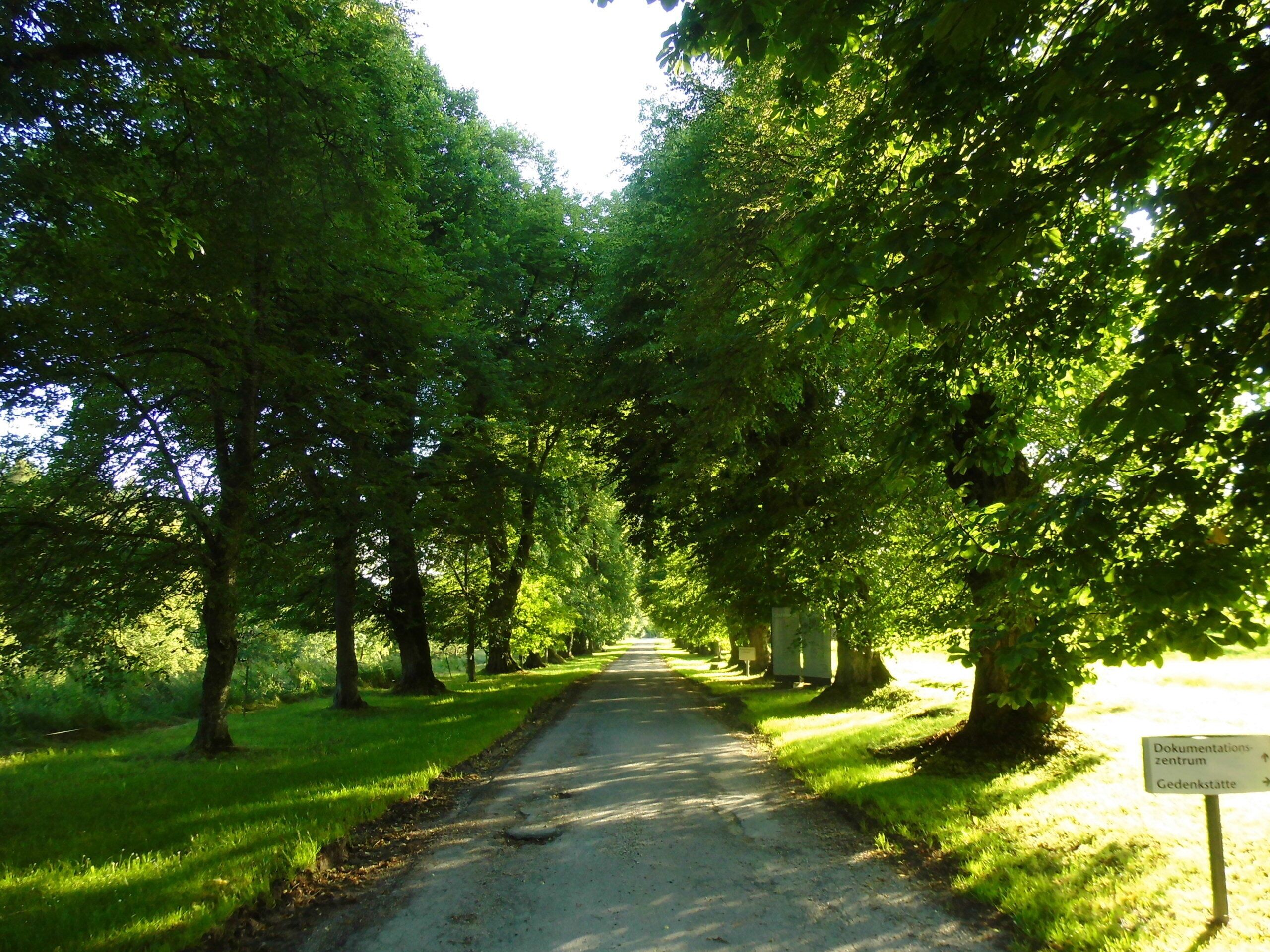 Naturdenkmal Allee Grafeneck, (Schutzgebiets-Nr. 84150270040) ist vom Landschaftschutzgebiet Großes Lautertal (Schutzgebiets-Nr. 4.15.134) umschlossen und grenzt an das Biosphärengebiet Schwäbische Alb (Schutzgebiets-Nr. 1). LUBW-Steckbrief für das Naturdenkmal: [1]