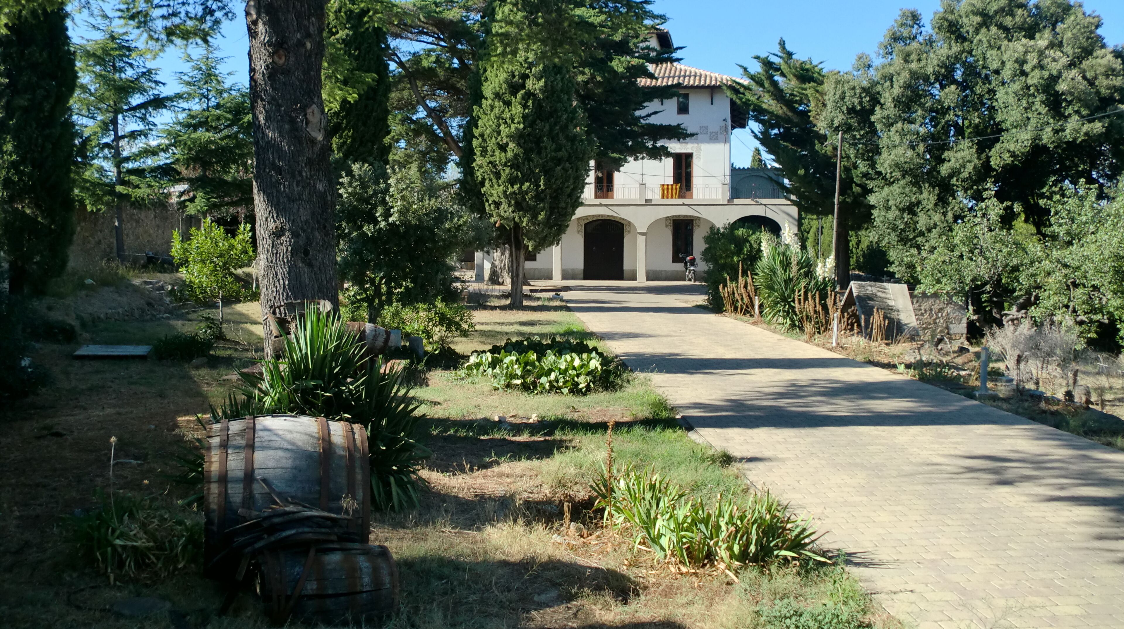 A rural pathway leading to a white building with a tiled roof, surrounded by trees and plants.