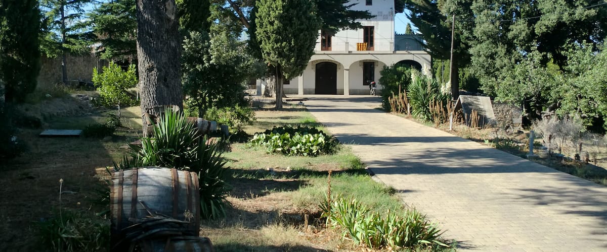 A rural pathway leading to a white building with a tiled roof, surrounded by trees and plants.