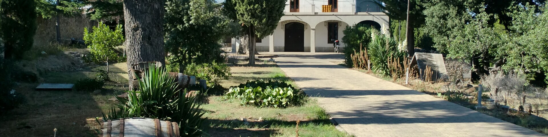A rural pathway leading to a white building with a tiled roof, surrounded by trees and plants.