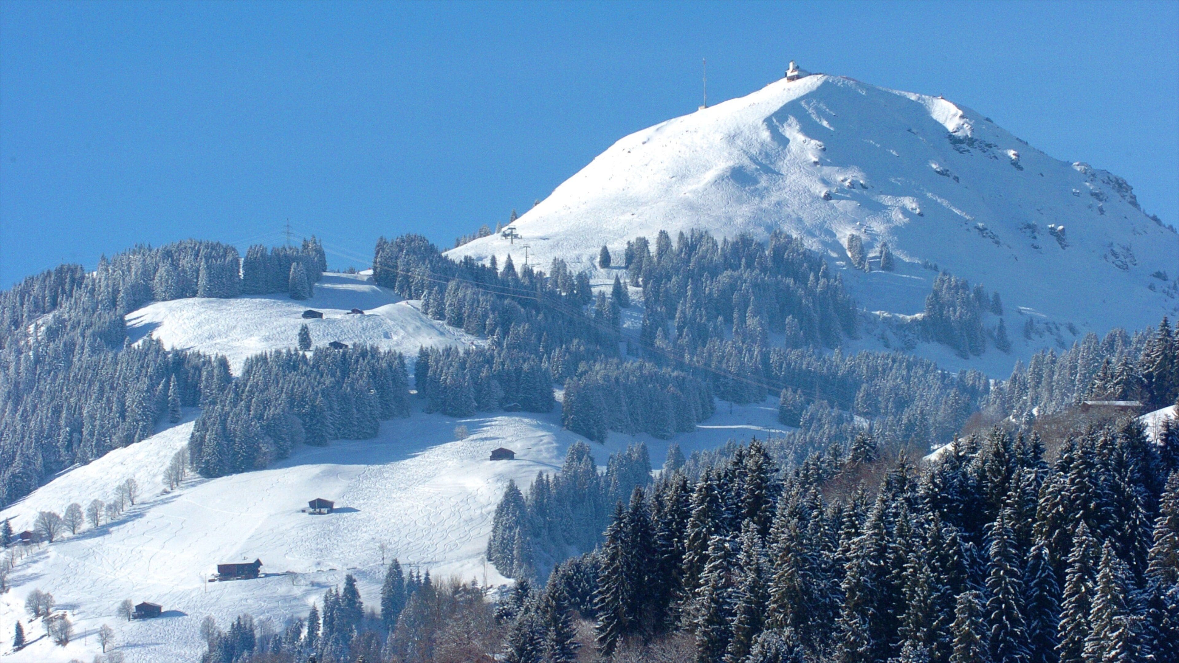 A snow-covered mountain with a ski resort and forested slopes.
