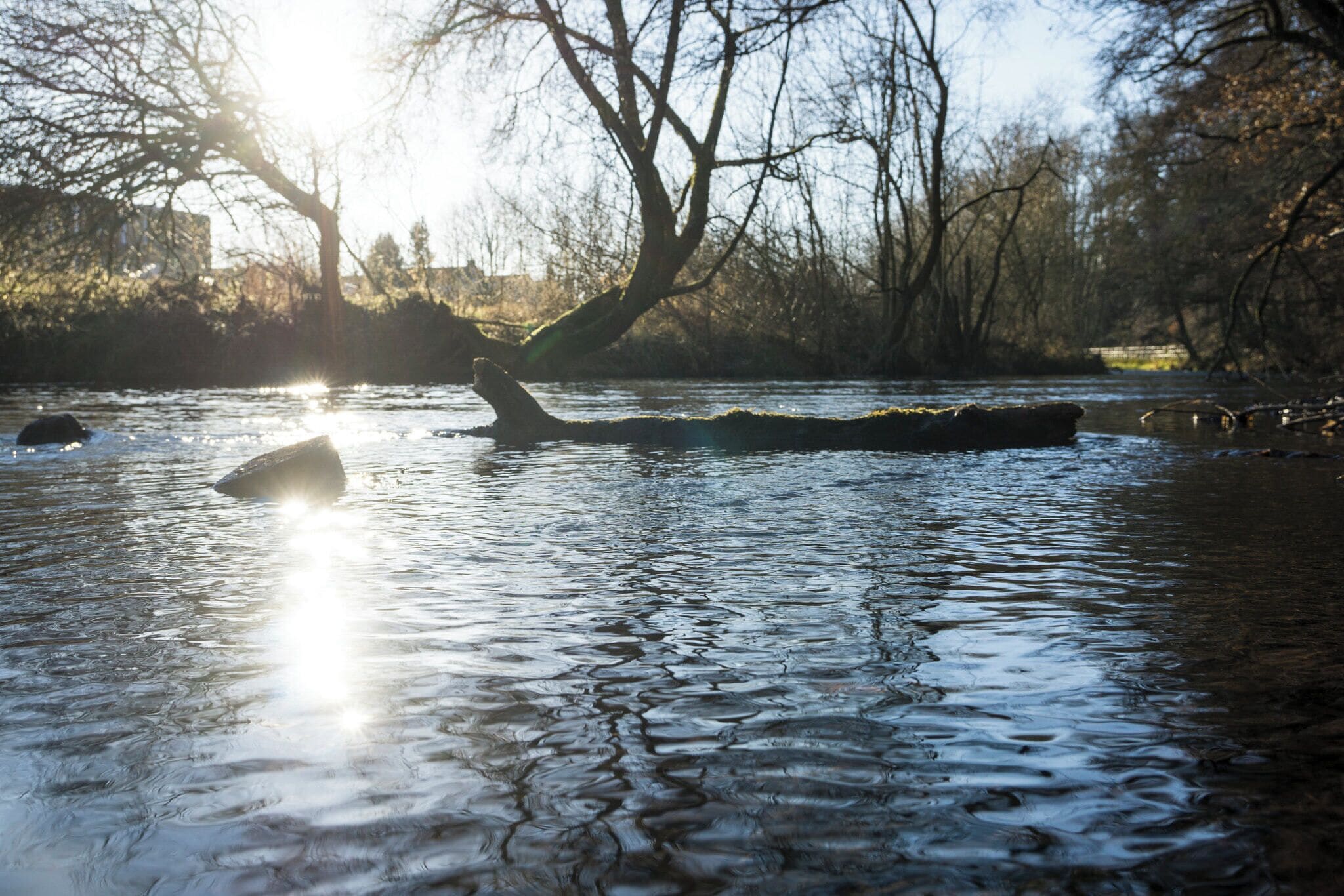 500px provided description: Taken during a walk along the river in my hometown Marsberg [#Nature ,#River ,#Marsberg ,#Diemel]