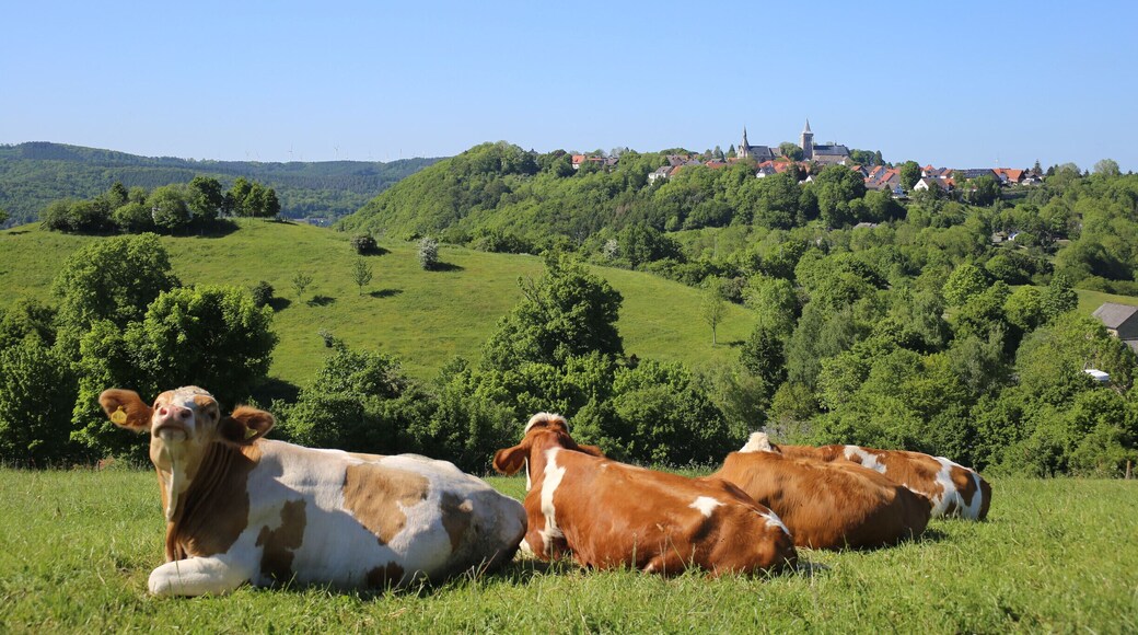 Blick auf Obermarsberg - Sauerland