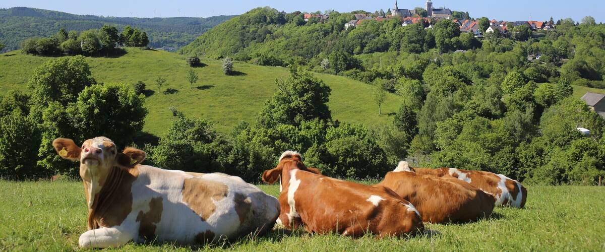 Blick auf Obermarsberg - Sauerland