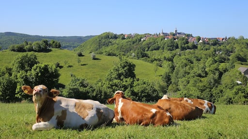 Blick auf Obermarsberg - Sauerland