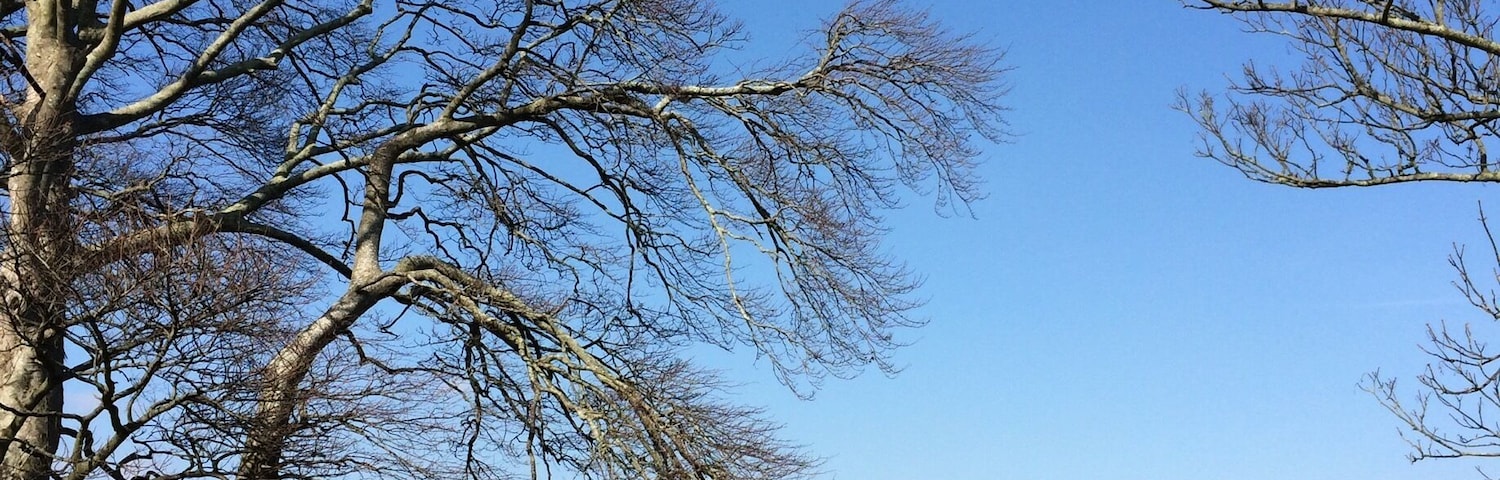 Carlingford, Ireland.