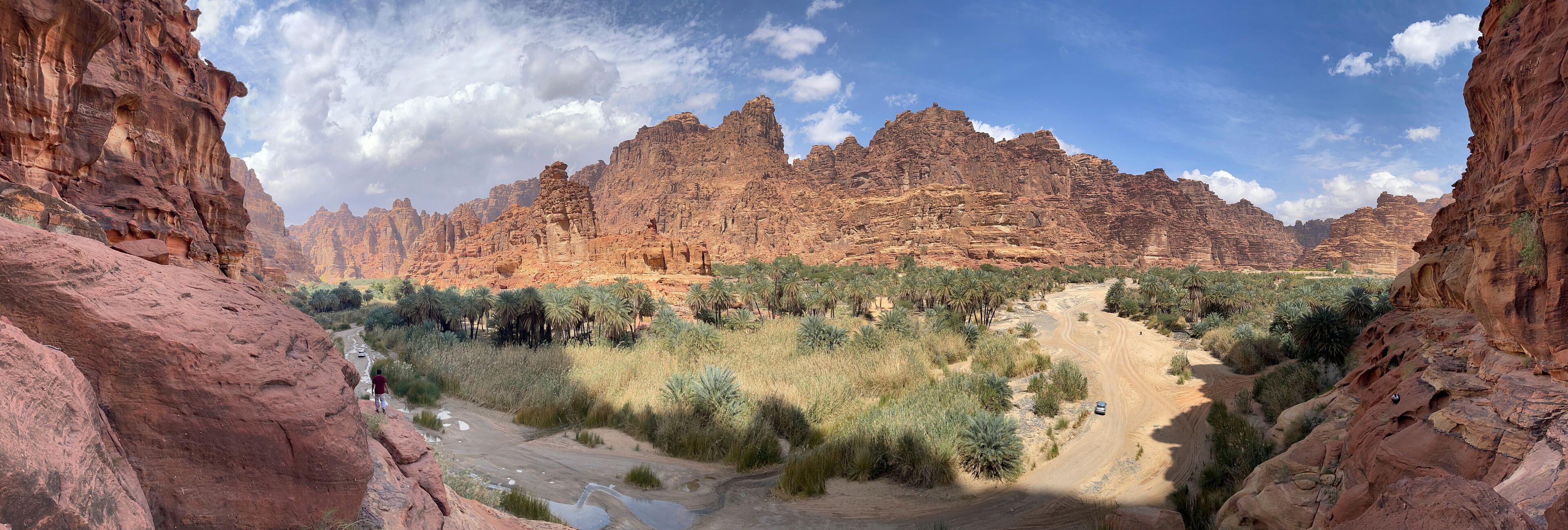 A canyon with red rock formations, palm trees, and a winding dirt road.