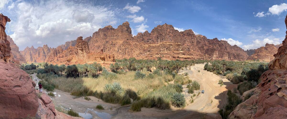 A canyon with red rock formations, palm trees, and a winding dirt road.