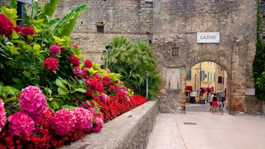 Um edifício histórico de pedra com uma placa que diz 'LAZISE'.