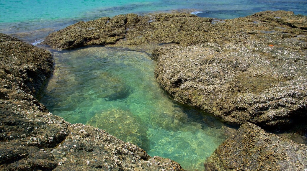 Surin Beach showing rugged coastline and a bay or harbour