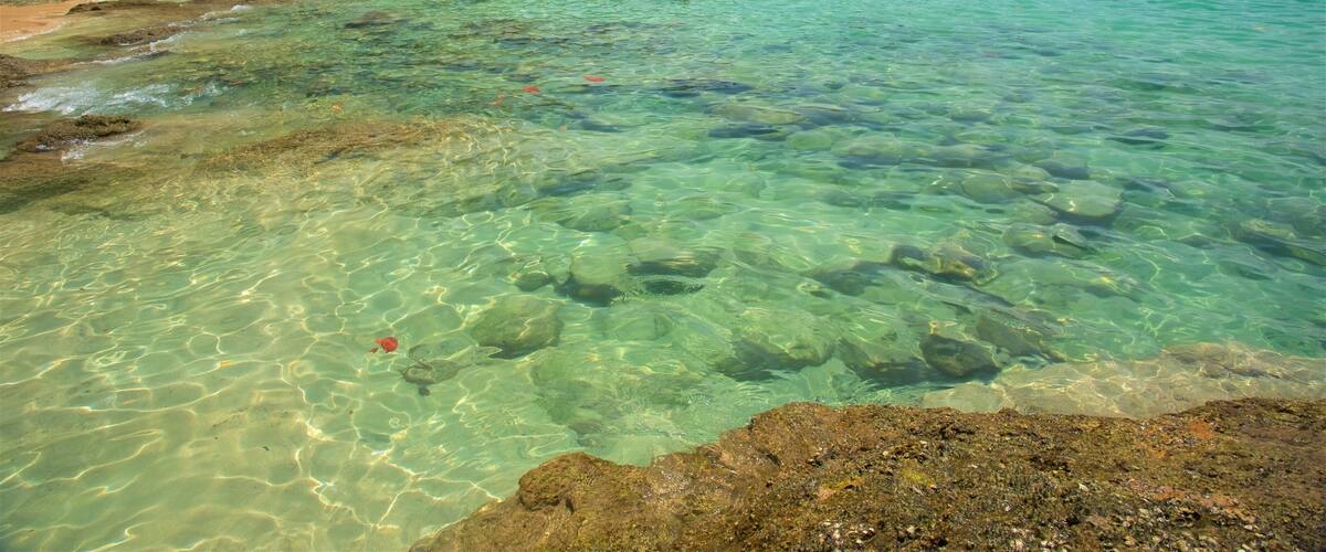 A beach with clear turquoise water, rocky shoreline, and people swimming and sunbathing.
