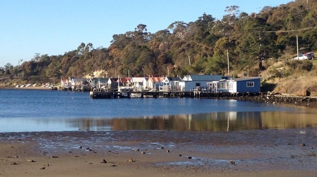 Not a lot of visitors find this place because the biggest road along it is favoured by local commuters - but Cornelian Bay is a lovely spot for a picnic or a walk along the bike track out to the Tasman Bridge.