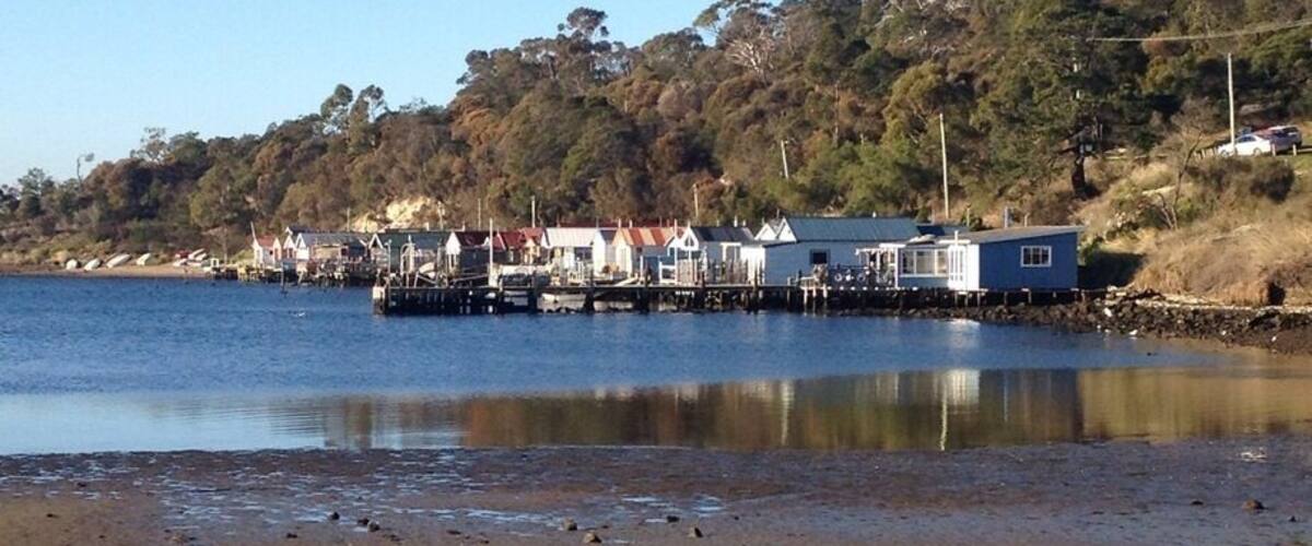 A beach with a calm water body, a pier with buildings, and a forested hill in the background.