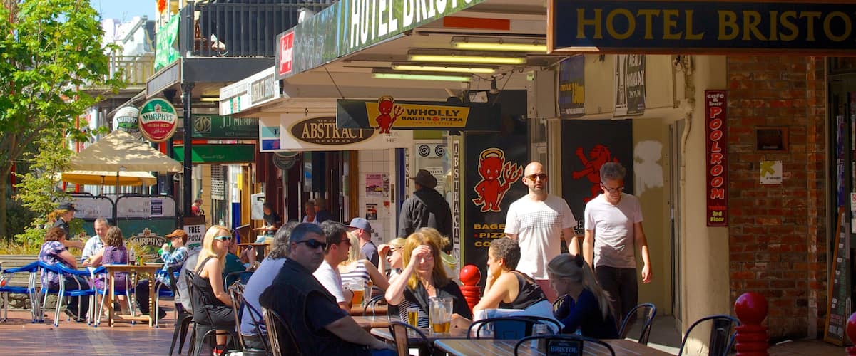 Cuba Street Mall showing café scenes and outdoor eating as well as a large group of people