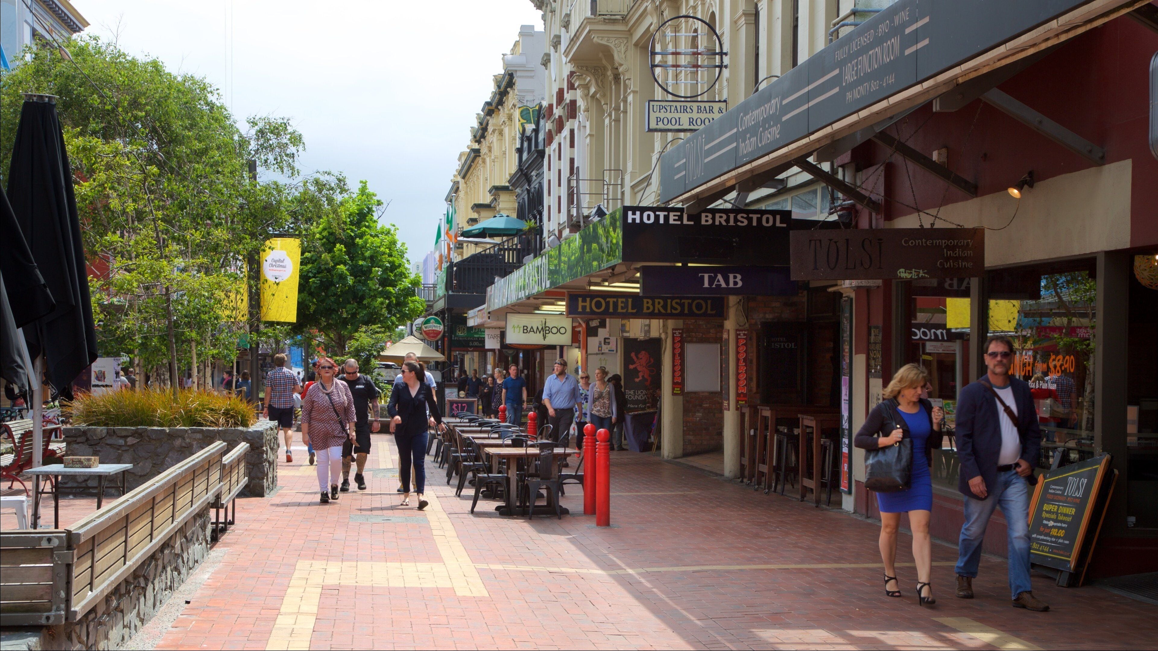 Wellington featuring street scenes and heritage architecture