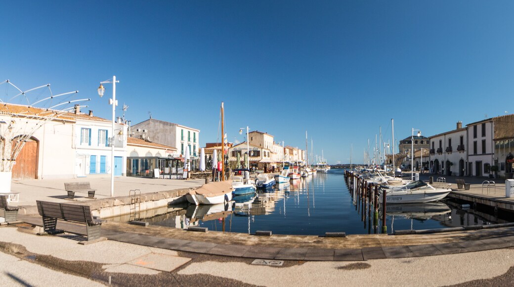 Panorama du port de Marseillan sur l'étang de thau dans le département de l'hérault en occitanie (france)