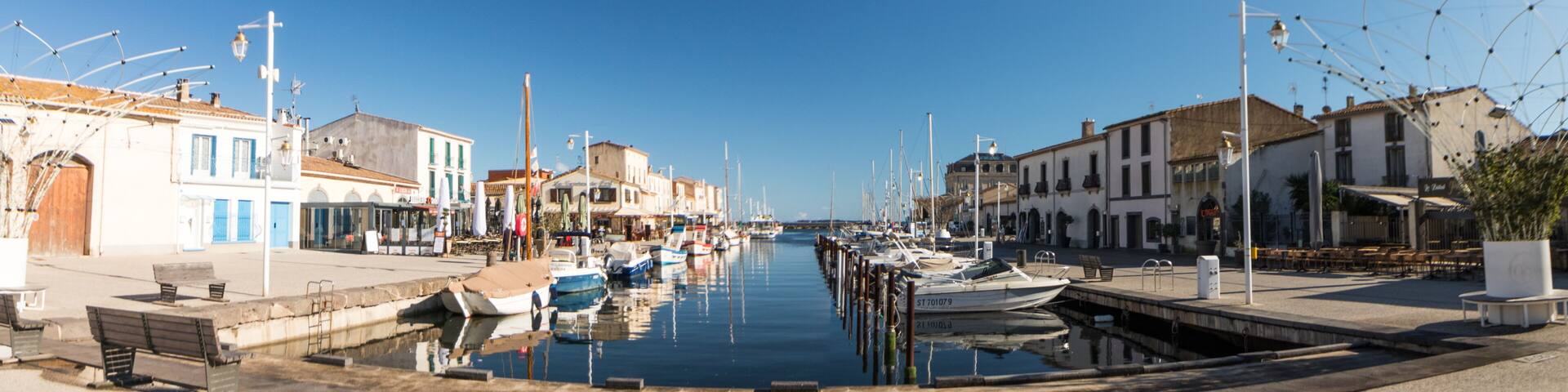 Panorama du port de Marseillan sur l'étang de thau dans le département de l'hérault en occitanie (france)